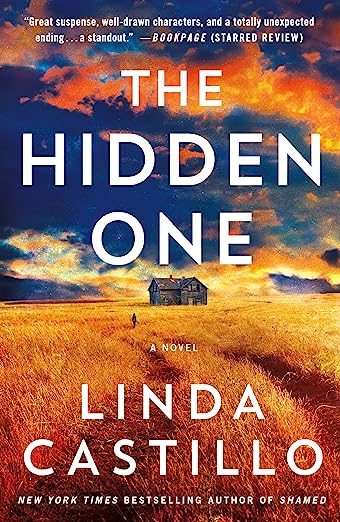 The Hidden One (Kate Burkholder #14)